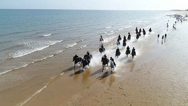 A Day At The Beach With The Household Cavalry